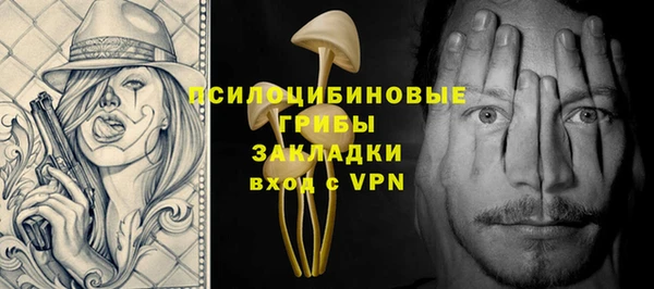 apvp Верхний Тагил