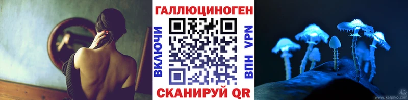 дарнет шоп  Брянск  Галлюциногенные грибы Psilocybine cubensis 